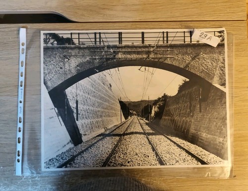 Treni ferrovie fotografia - ferrovie,